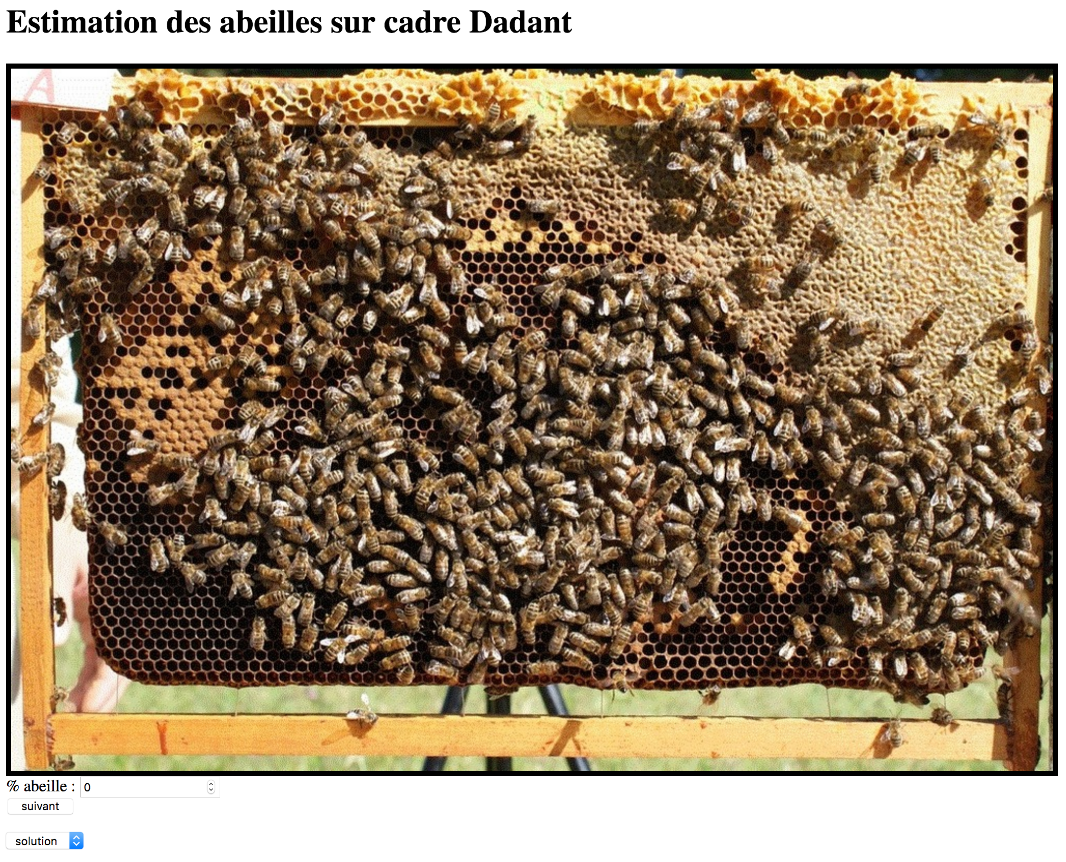 exemple de photos d’abeilles
